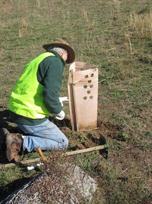 Planting demonstration