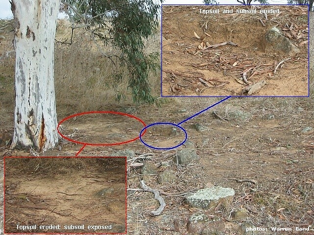 camp erosion