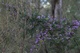 101010-10.jpg