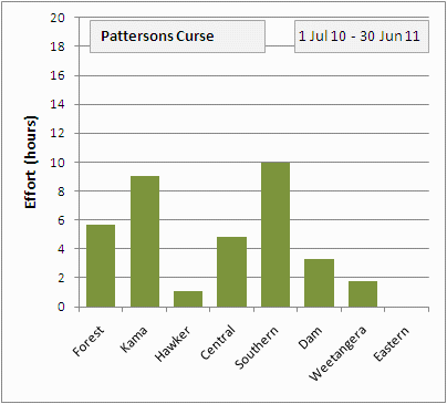 patersons curse