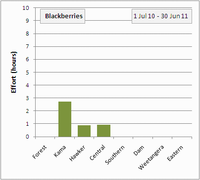 blacberry