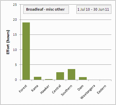 broadleafs