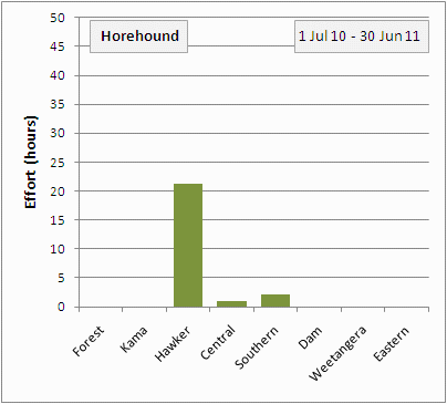 horehound