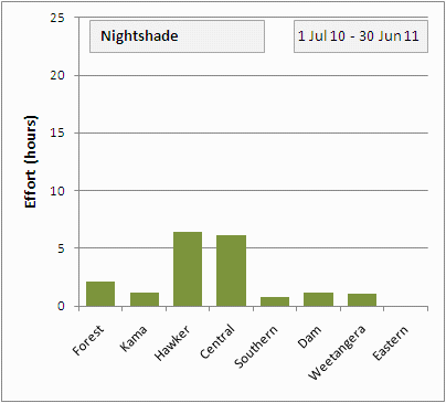 nightshade