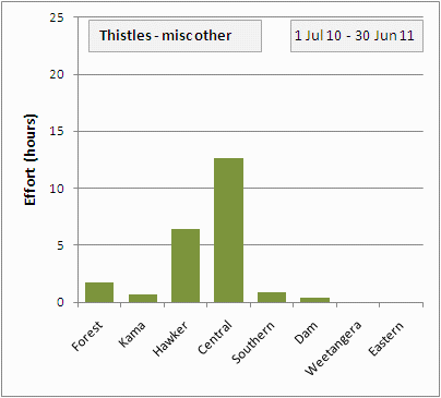 other thistles