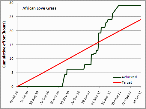 African Love Grass