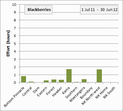 blacberry