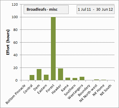 broadleafs