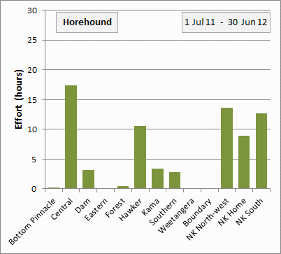 horehound