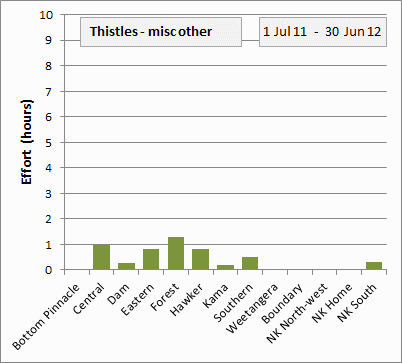 other thistles