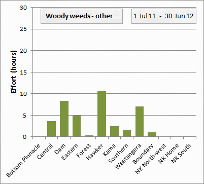 woody weeds